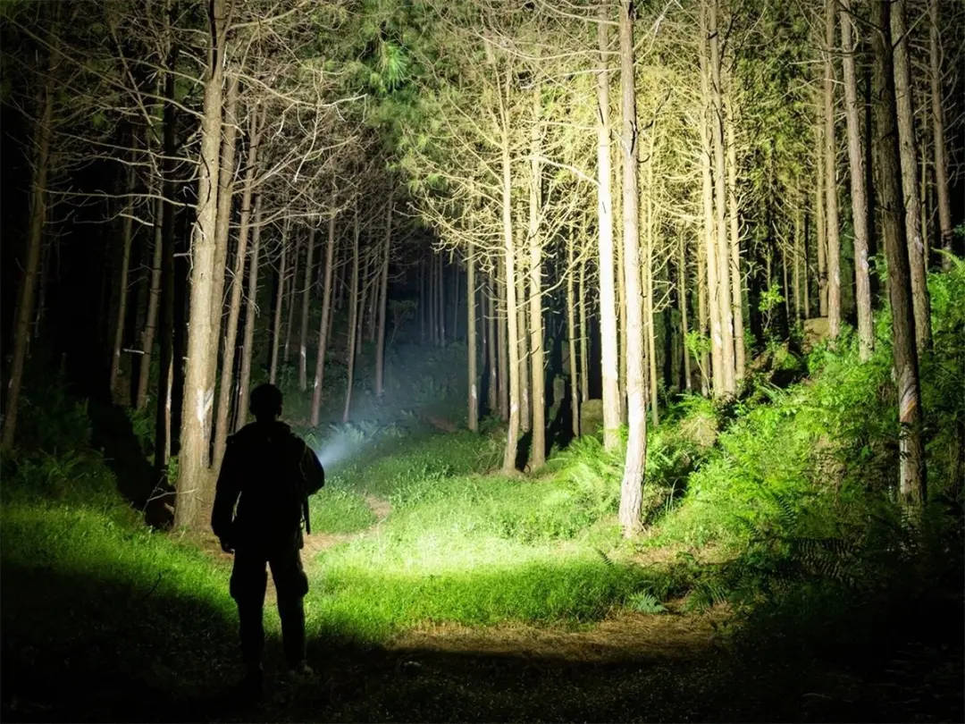 Olight Baton 4 Zaklamp - 1300 lm - OD Groen - afbeelding 6 van 6