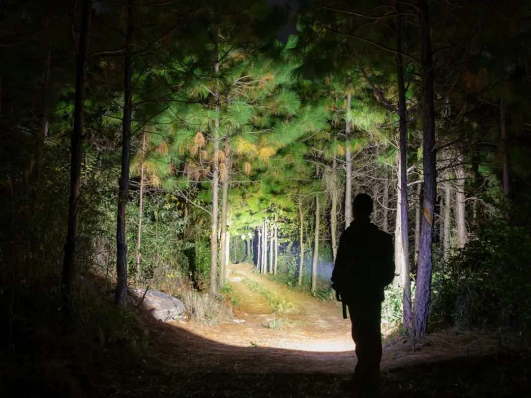 Olight Baton Turbo Groen - 1000 lm - afbeelding 4 van 6