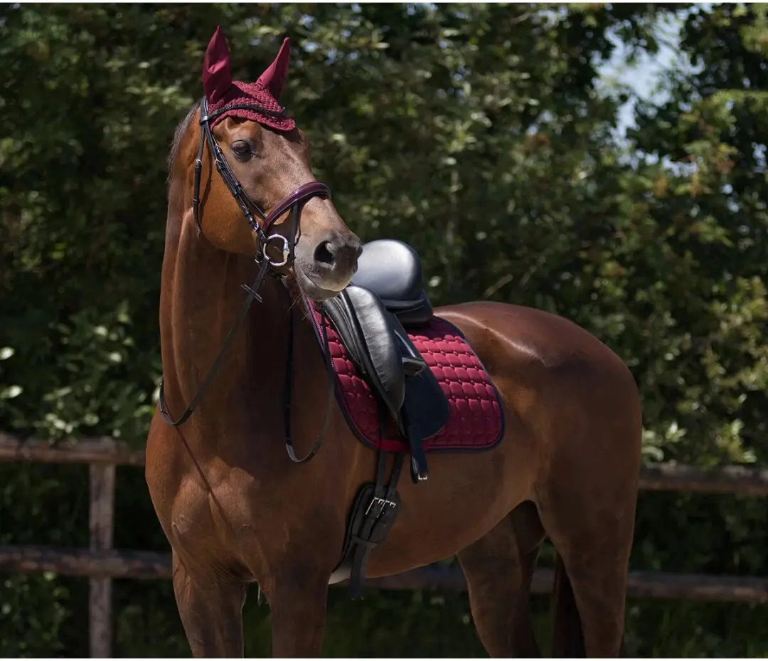 QHP Florence Oornetje - Maat Cob - Bordeaux - afbeelding 2 van 4