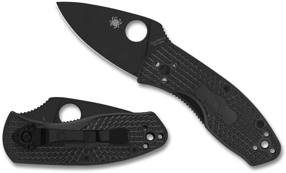 Spyderco Ambitious Lightweight Zakmes