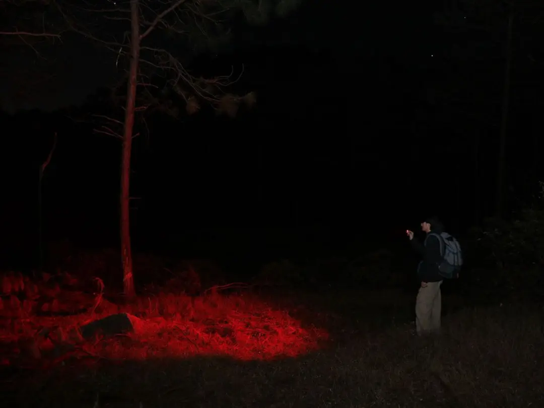 Olight Oclip Pro S Zaklamp - 500 lm - Zwart - afbeelding 6 van 6