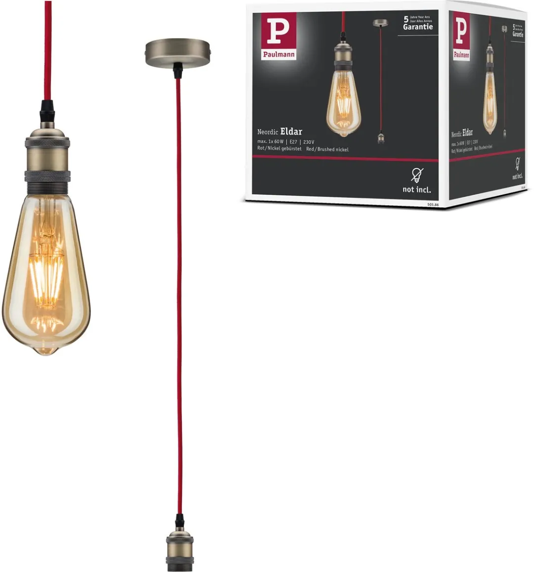 Paulmann Neordic Hanglamp Eldar E27 60W