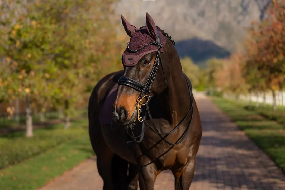 LeMieux Finesse Vliegenmuts Paard - Full (L) - Donkerpaars - afbeelding 5 van 6