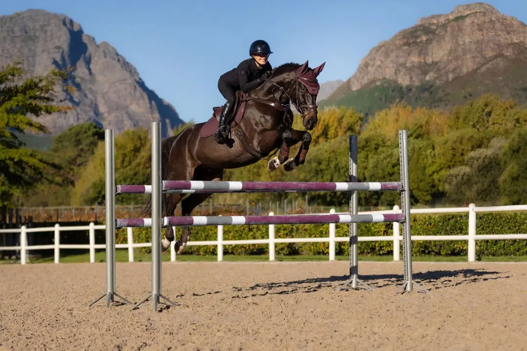 LeMieux Finesse Vliegenmuts Paard - Full (L) - Donkerpaars - afbeelding 4 van 6