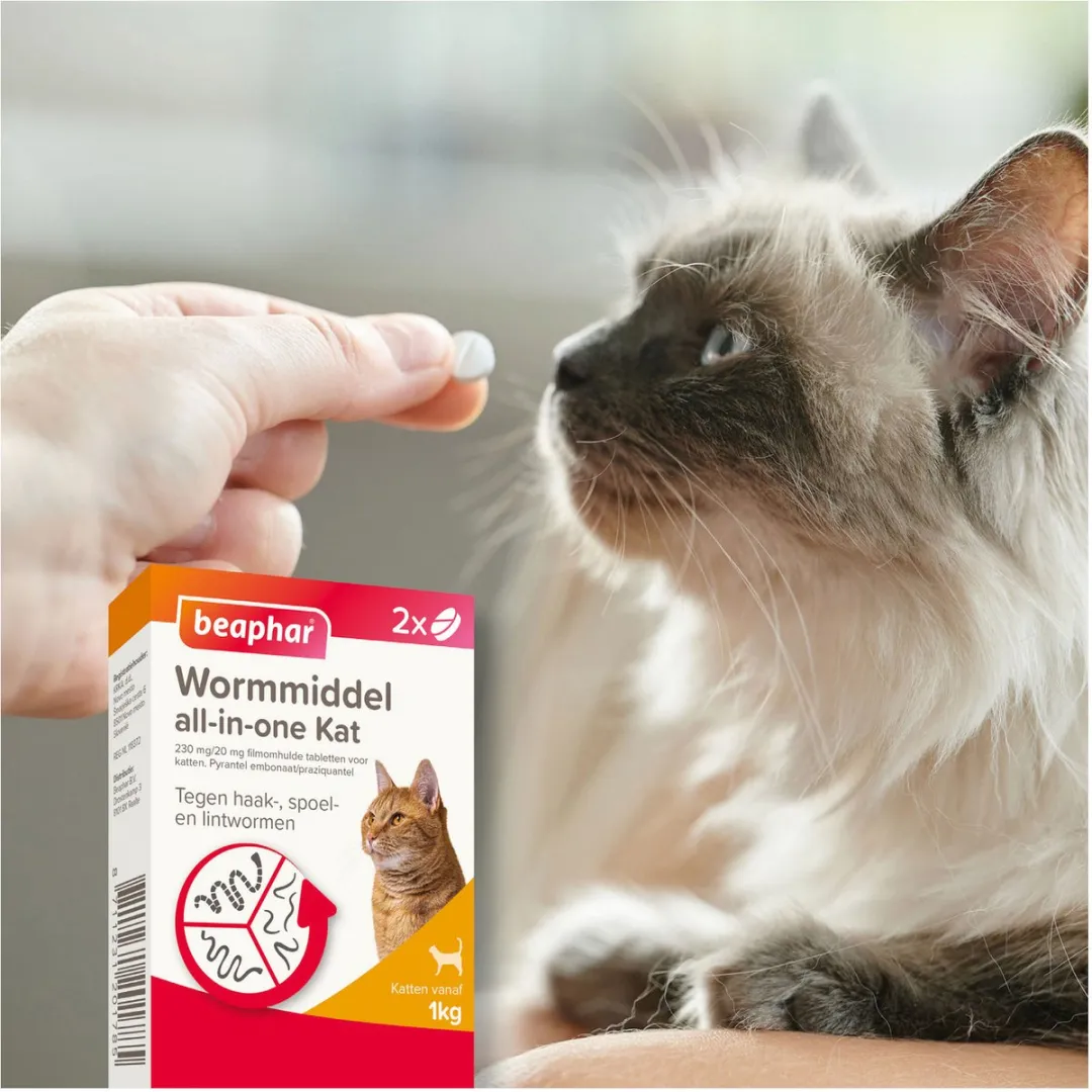 Beaphar Wormmiddel All-In-One Kat - Anti wormenmiddel - 2 stuks