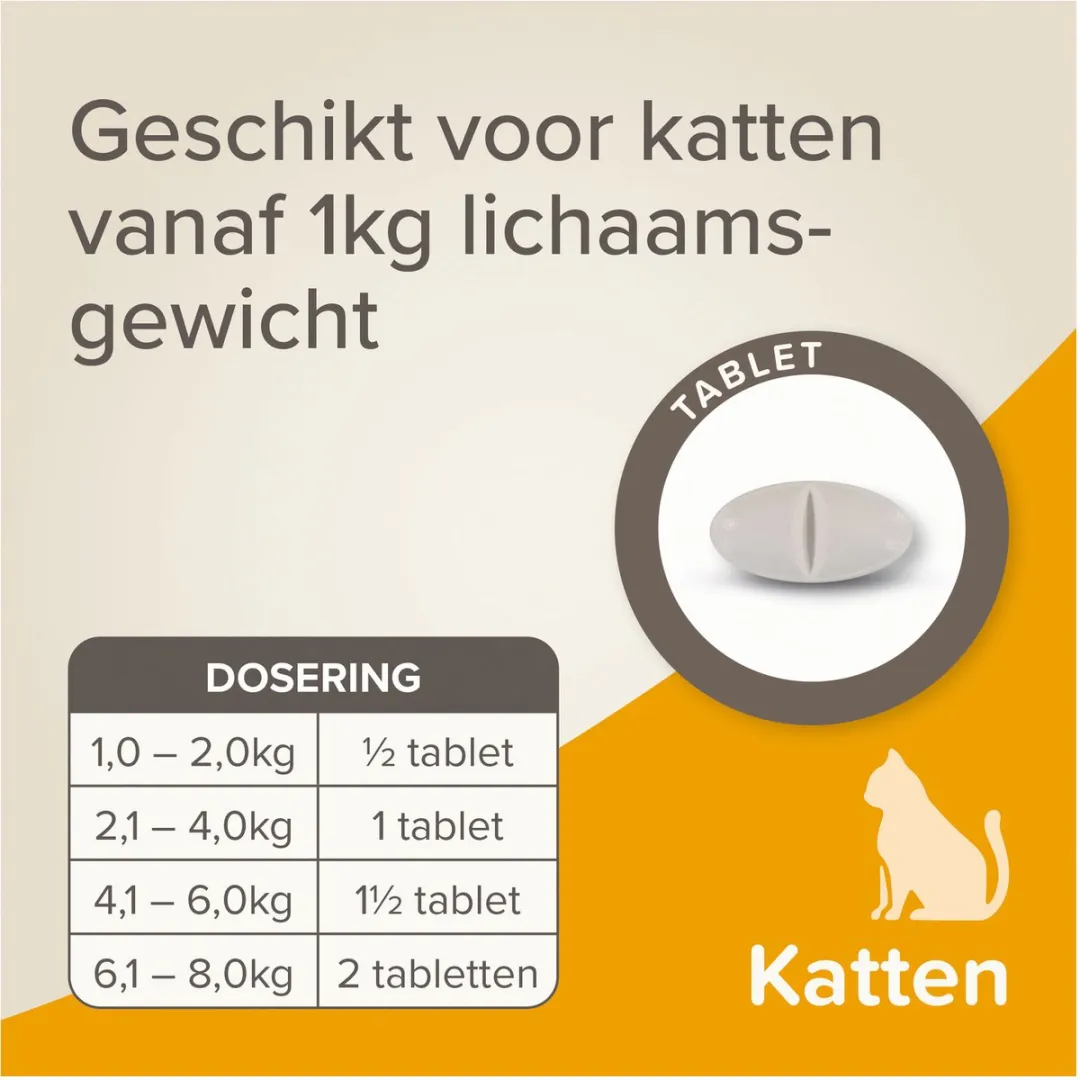 Beaphar Wormmiddel All-In-One Kat - Anti wormenmiddel - 2 stuks