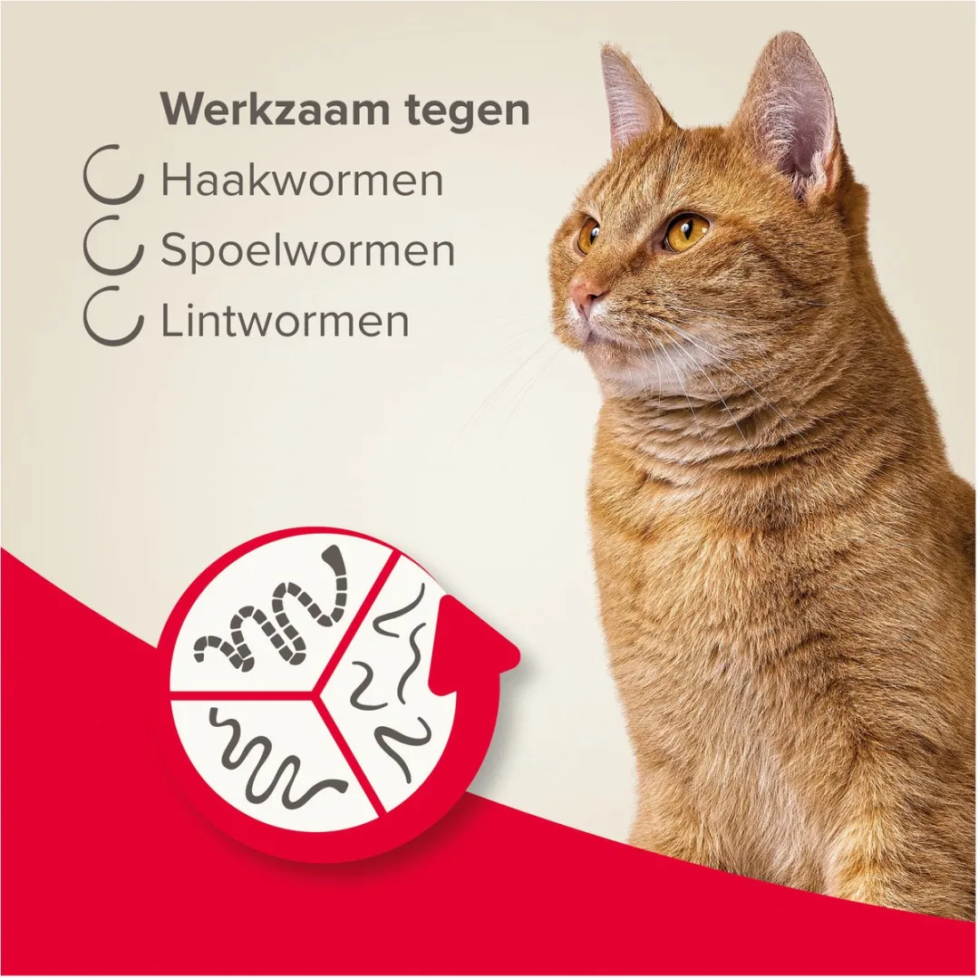Beaphar Wormmiddel All-In-One Kat 64ml - 2 Stuks - afbeelding 6 van 6