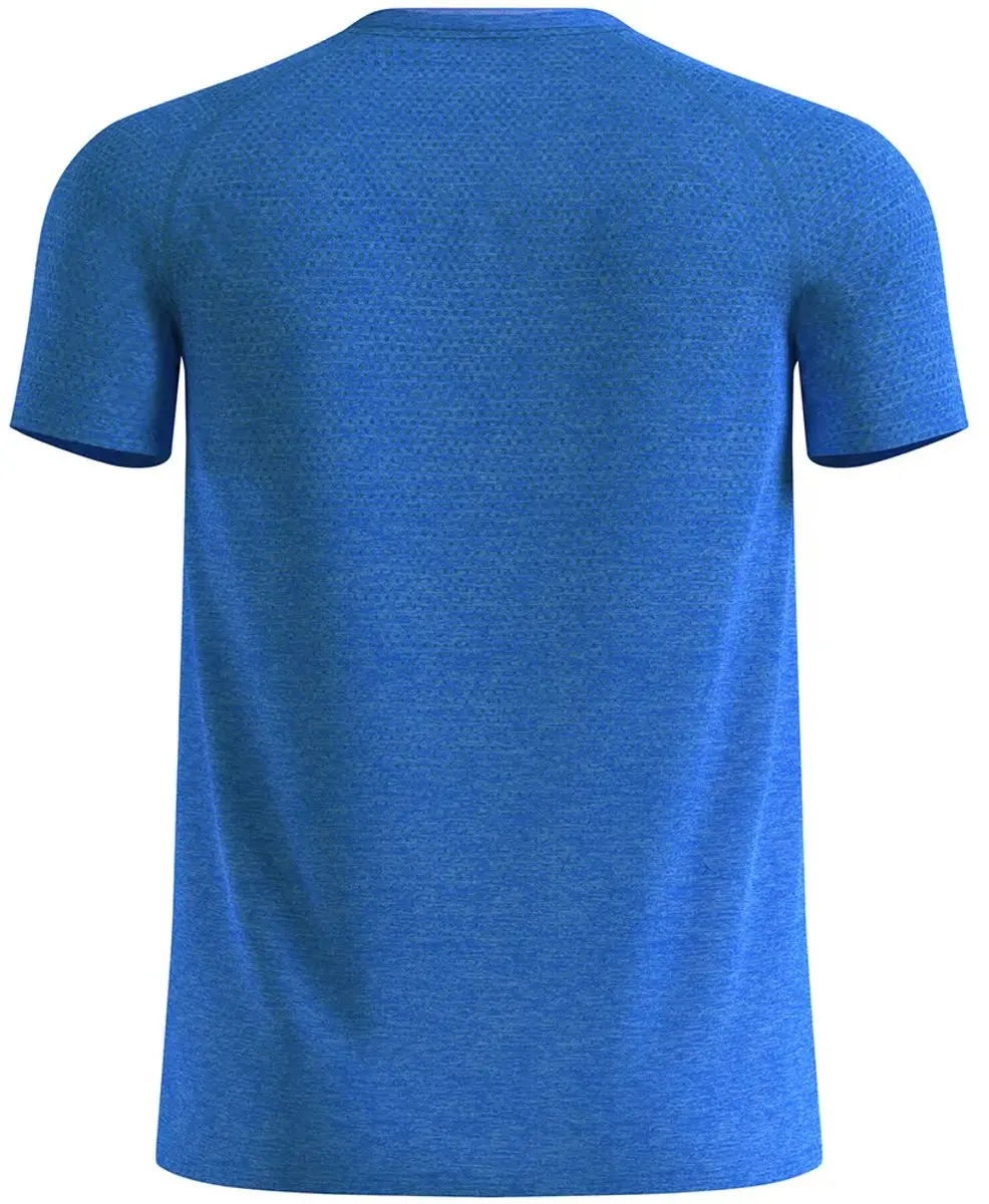 Odlo Essential Seamless T-shirt Met Korte Mouwen Blauw S Man