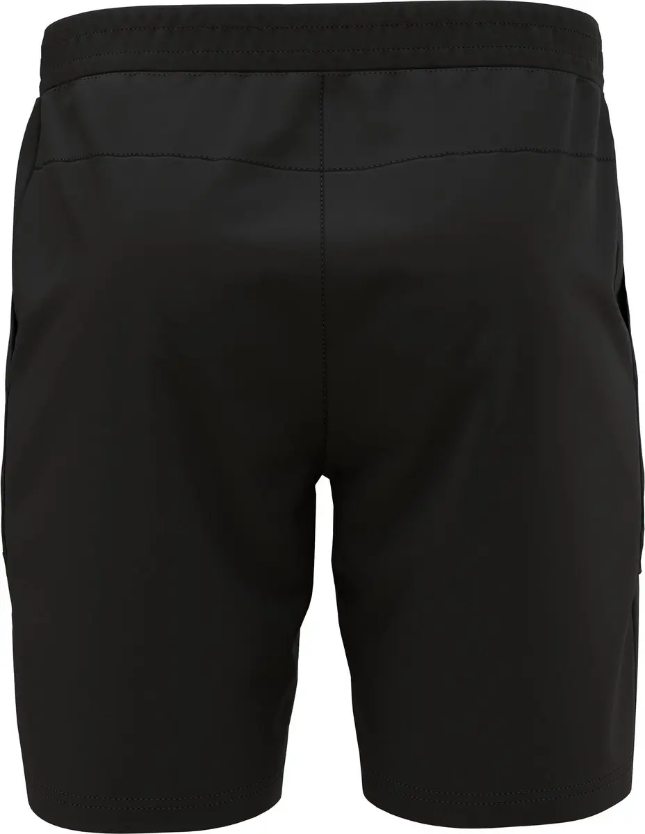 Odlo Ascent 365 Korte Broek Zwart 50 Man