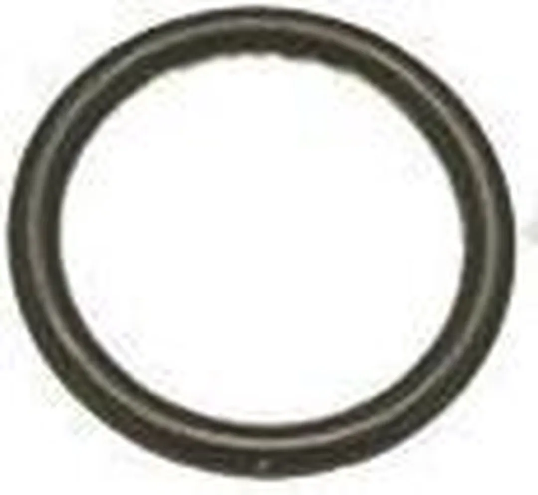 Saeco O-ring Afdichting DM10mm