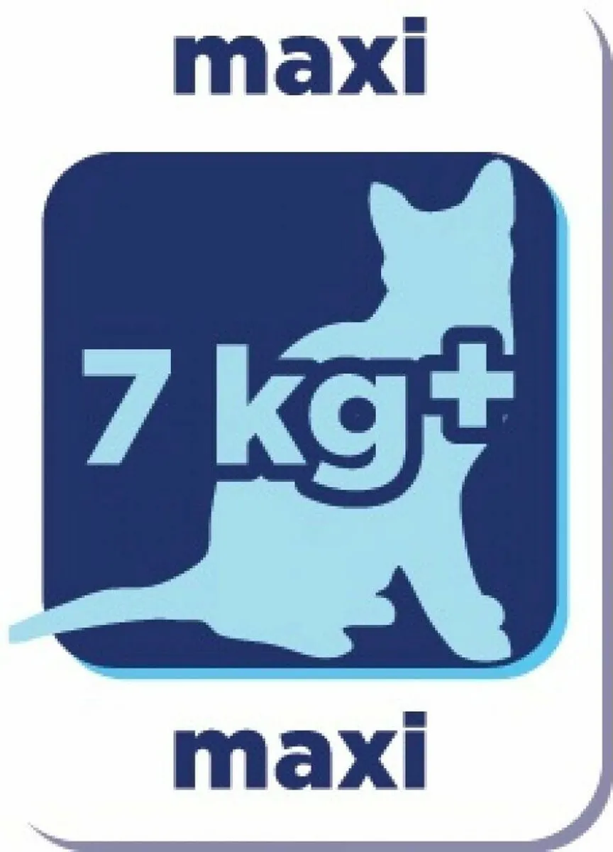 Renske Kat Adult Maxi Verse Zeevis & Zalm 6kg