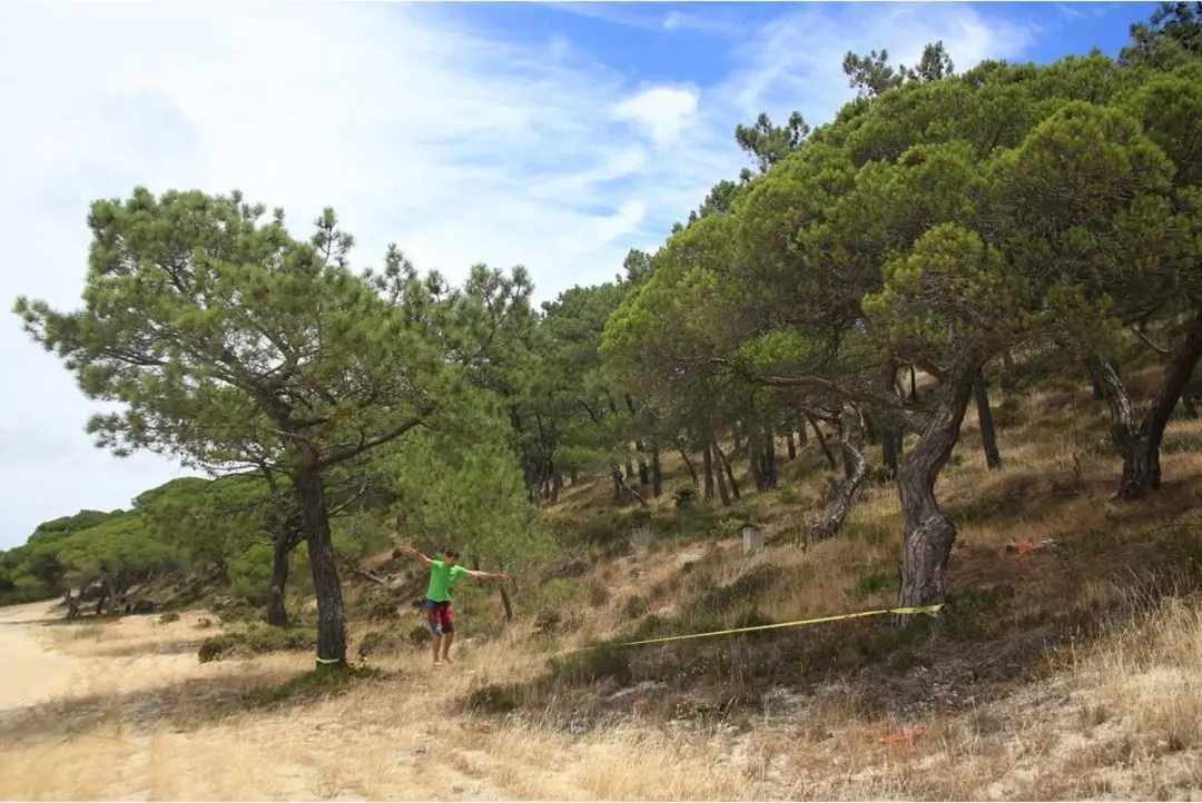 Sporti HQ Inspiration Slackline 15m - Geel - afbeelding 3 van 6