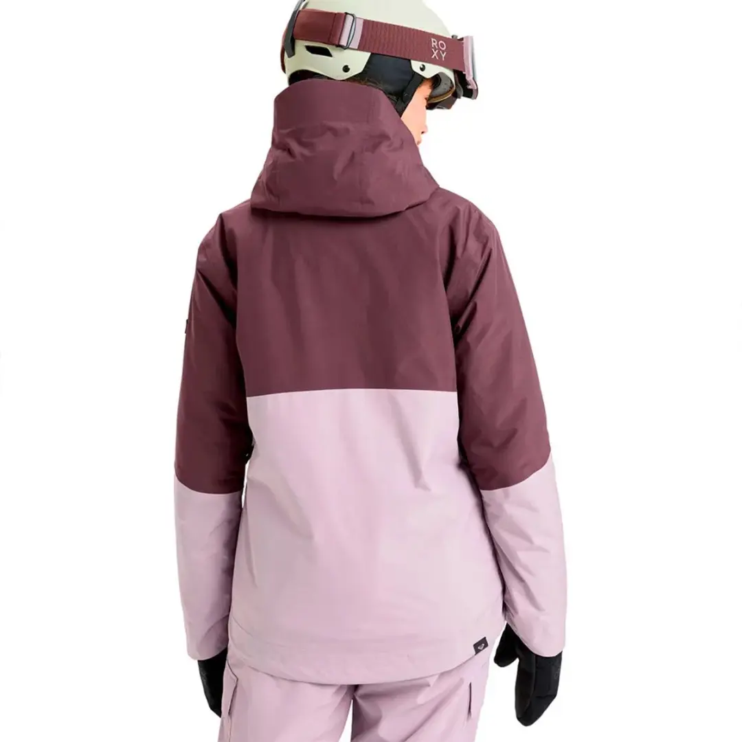 Roxy Stormday Gore-tex® Jas Paars L Vrouw - afbeelding 3 van 6