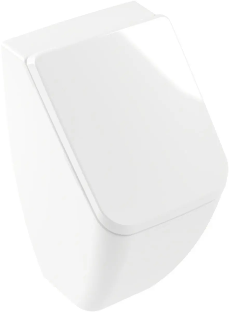 Villeroy & Boch Venticello Urinoir 5504R1R1 - DirectFlush - afbeelding 3 van 5