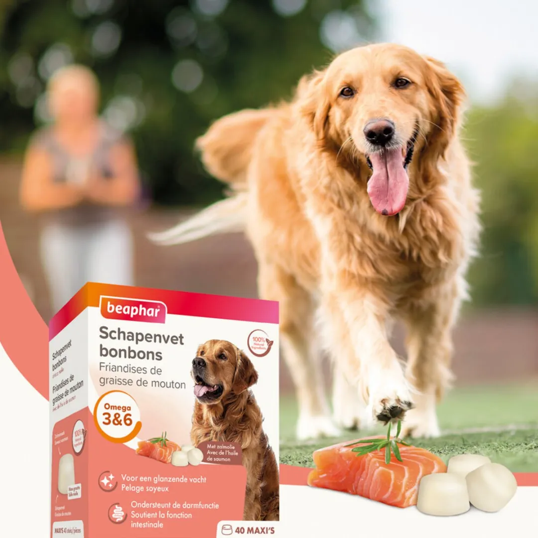 Beaphar Schapenvet Bonbons Zalm 245g - 10 Stuks