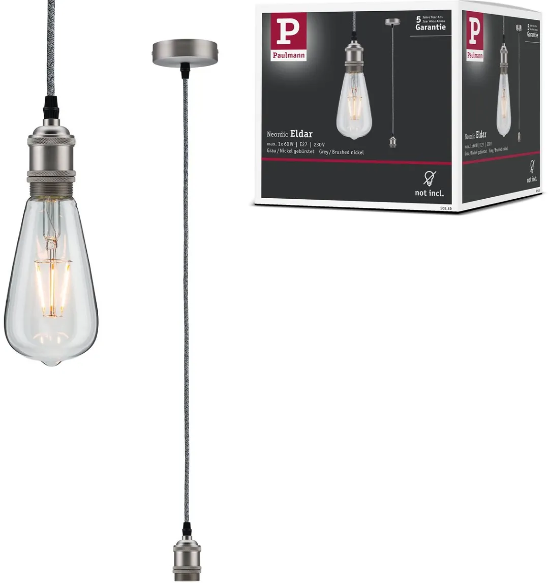 Paulmann Neordic Hanglamp Eldar E27 60W