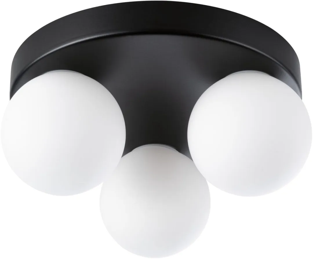 Paulmann Selection Bathroom Plafondlamp Gove IP44