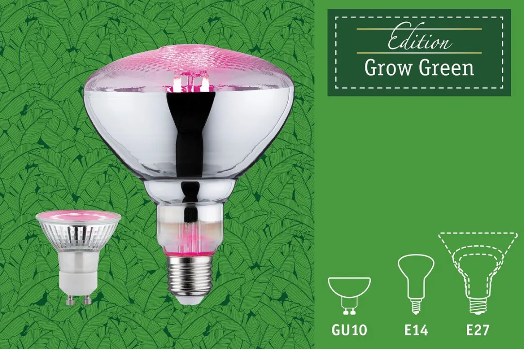 Paulmann Grow Green Edition LED Reflector E27 R80 6,5W 200lm - 1300K Roze