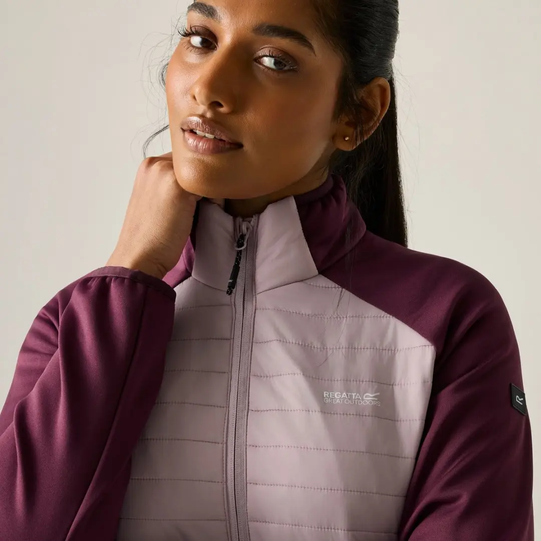 Dames Clumber Hybrid