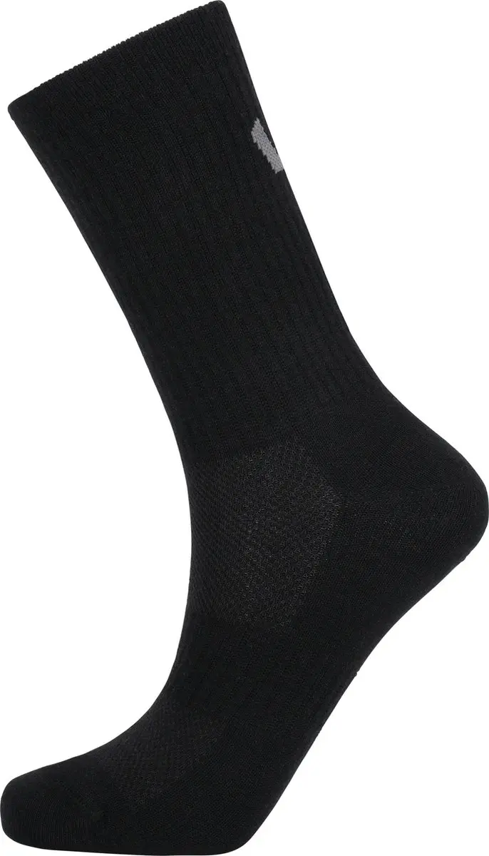 WHISTLER Socken Journey