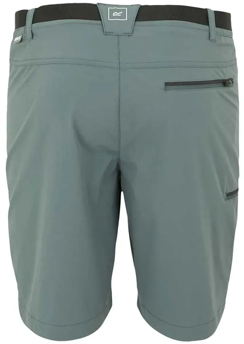 Regatta Xert Stretch Iii Korte Broek Grijs 48 / Regular Man - afbeelding 3 van 4