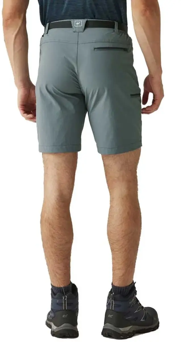 Regatta Xert Stretch Iii Korte Broek Grijs 48 / Regular Man - afbeelding 2 van 4