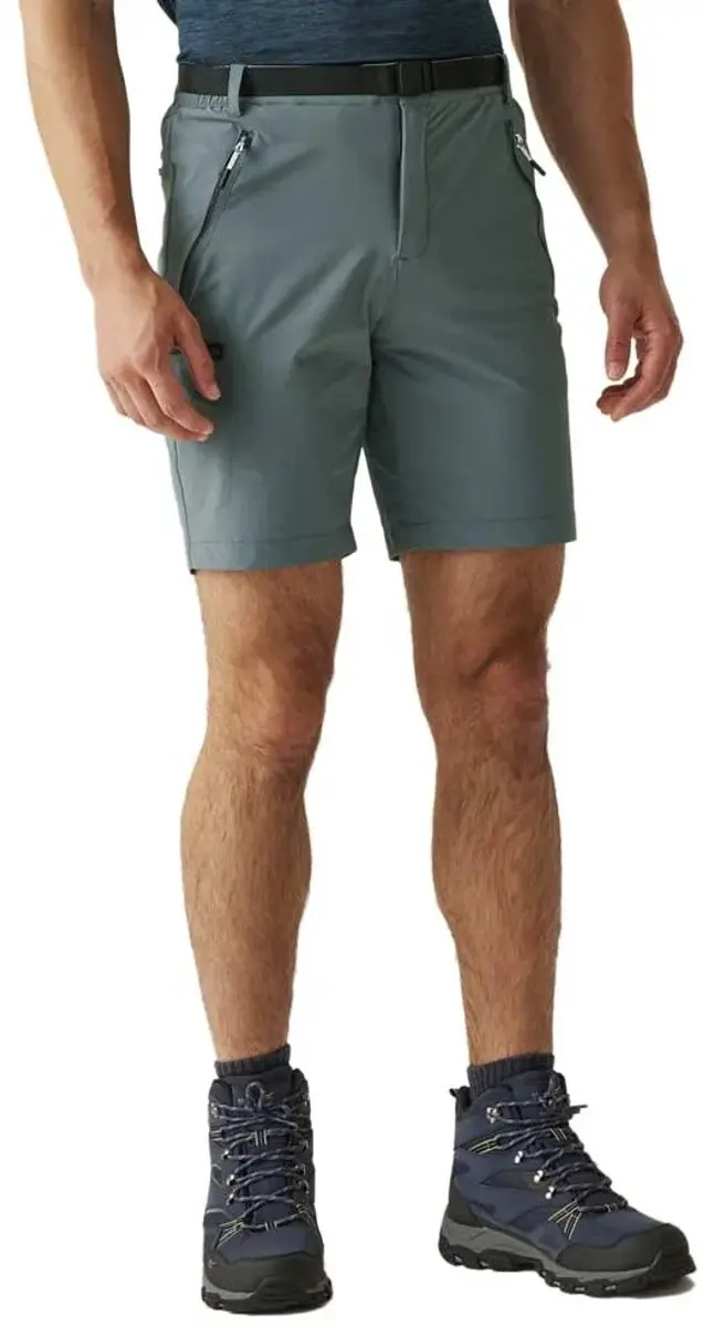 Regatta Xert Stretch Iii Korte Broek Grijs 48 / Regular Man