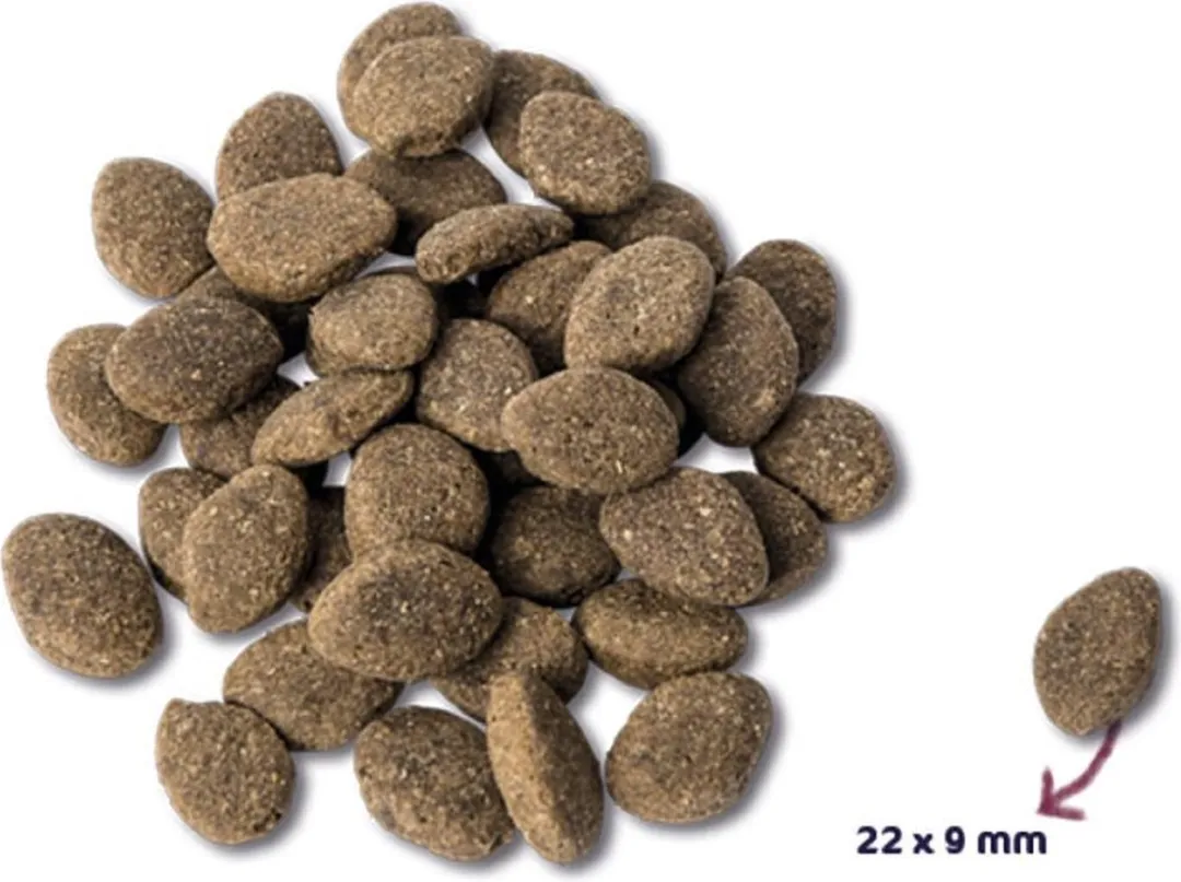 Renske Adult Lam Hondenvoer - 4x2kg Graanvrij