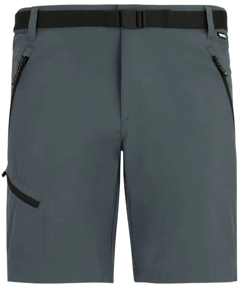 Regatta Xert Stretch Korte Broek Grijs 52 / Regular Man