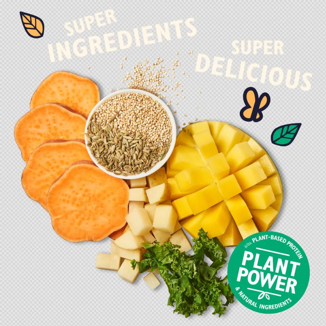 Lily's Kitchen Totally Tropical Hondensnacks - 560g