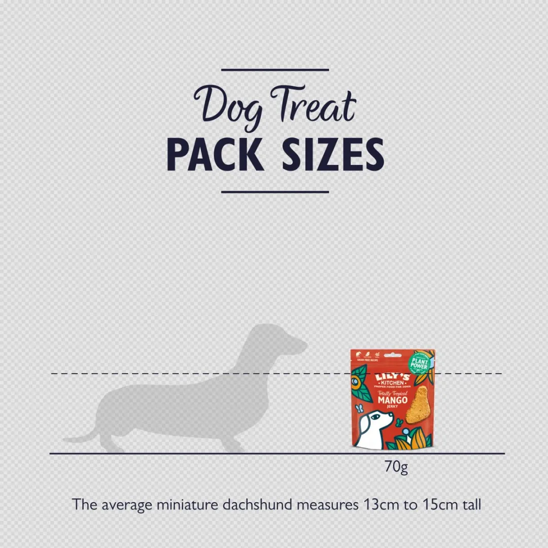 Lily's Kitchen Totally Tropical Hondensnacks - 560g