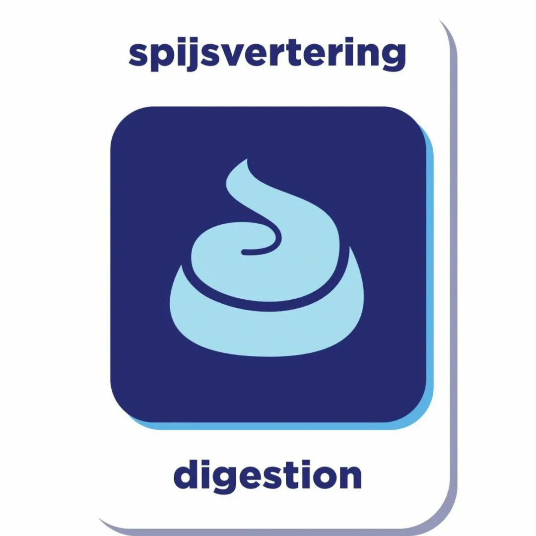 Renske Adult Kalkoen&Eend - Hondenvoer - 4 x 2 kg