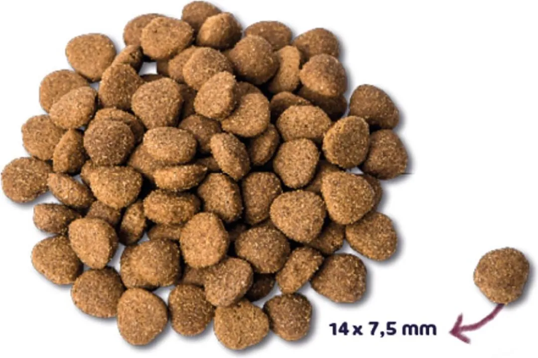 Renske Adult Kalkoen&Eend - Hondenvoer - 4 x 2 kg