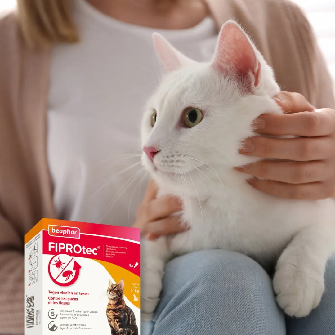 Beaphar Fiprotec Vlooiendruppels Kat - 3 Pipetten