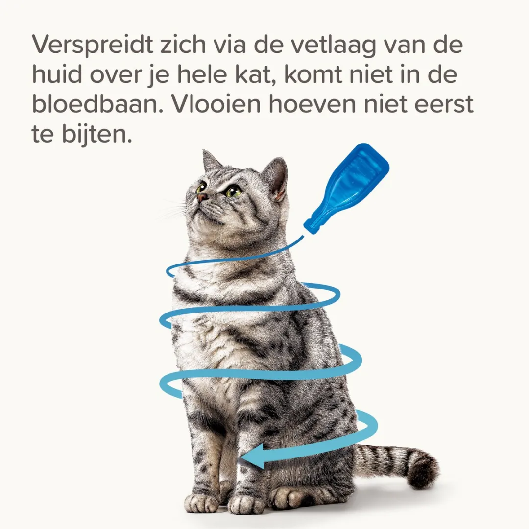 Beaphar Fiprotec Vlooiendruppels Kat - 3 Pipetten