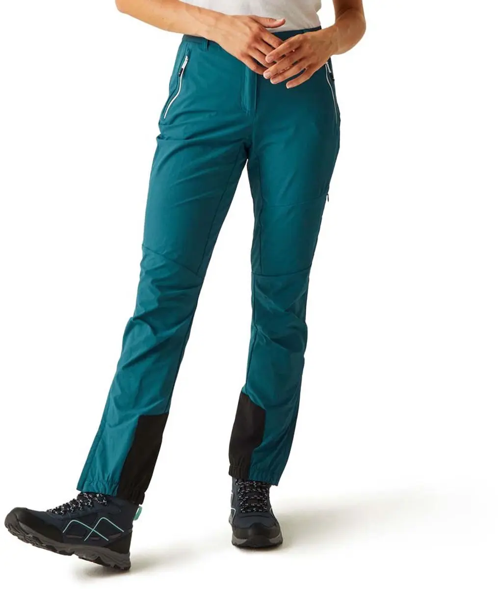 Regatta Mountain Iii Broek Blauw 34 / Regular Vrouw