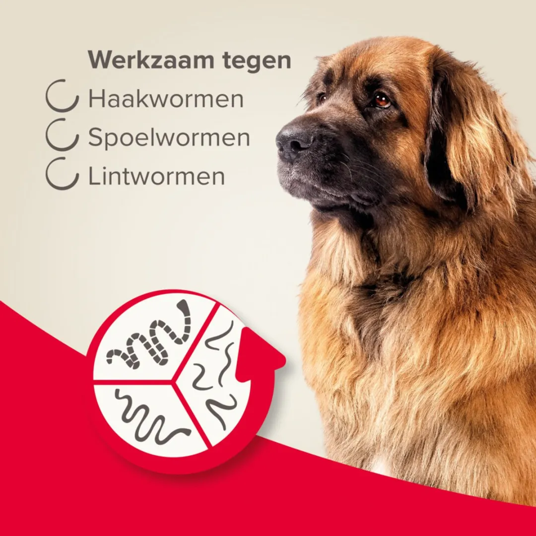 Beaphar Wormtablet All In One Hond - Anti wormenmiddel - 6 x 2 tab 17.5 Tot 70 Kg