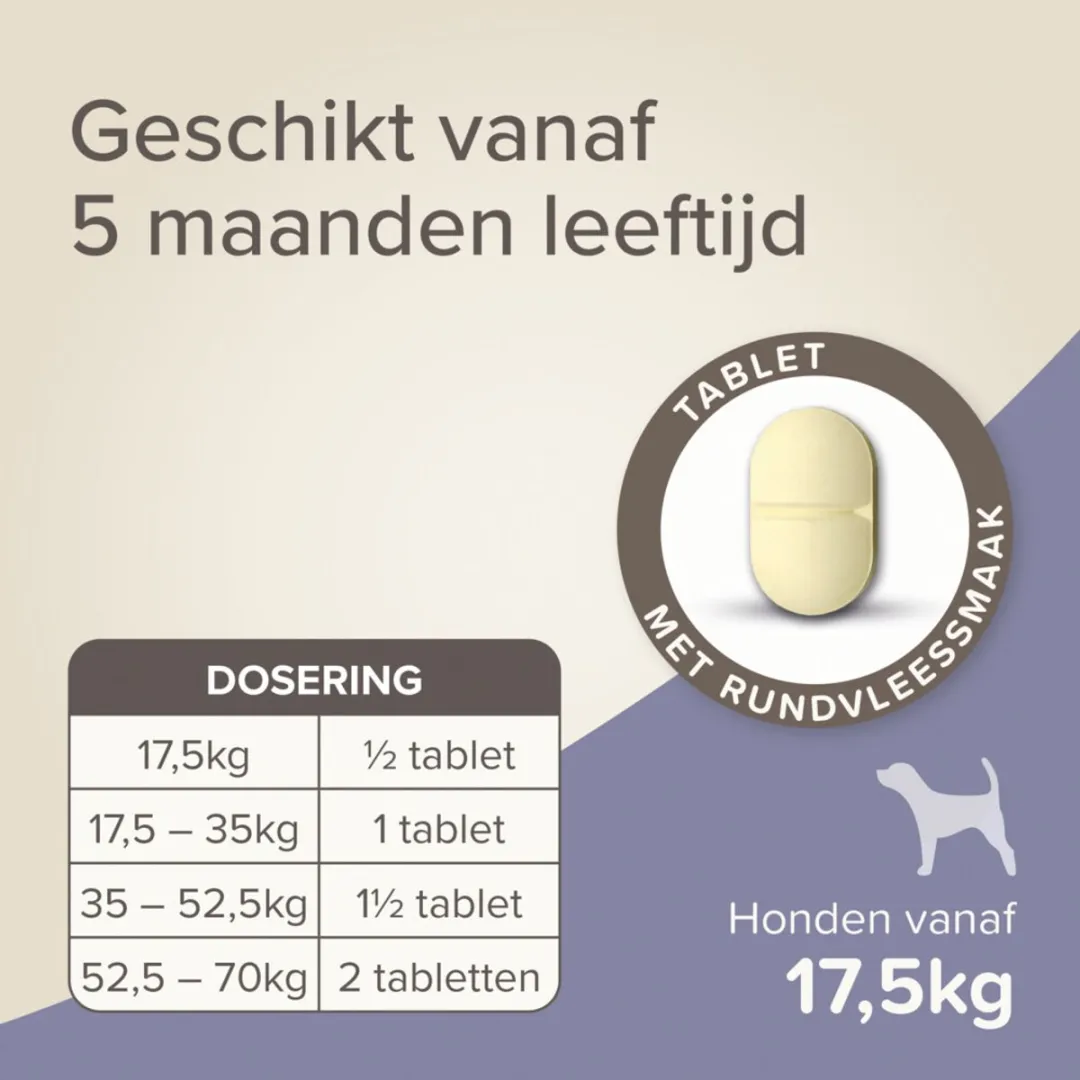 Beaphar Wormtablet All In One Hond - Anti wormenmiddel - 6 x 2 tab 17.5 Tot 70 Kg