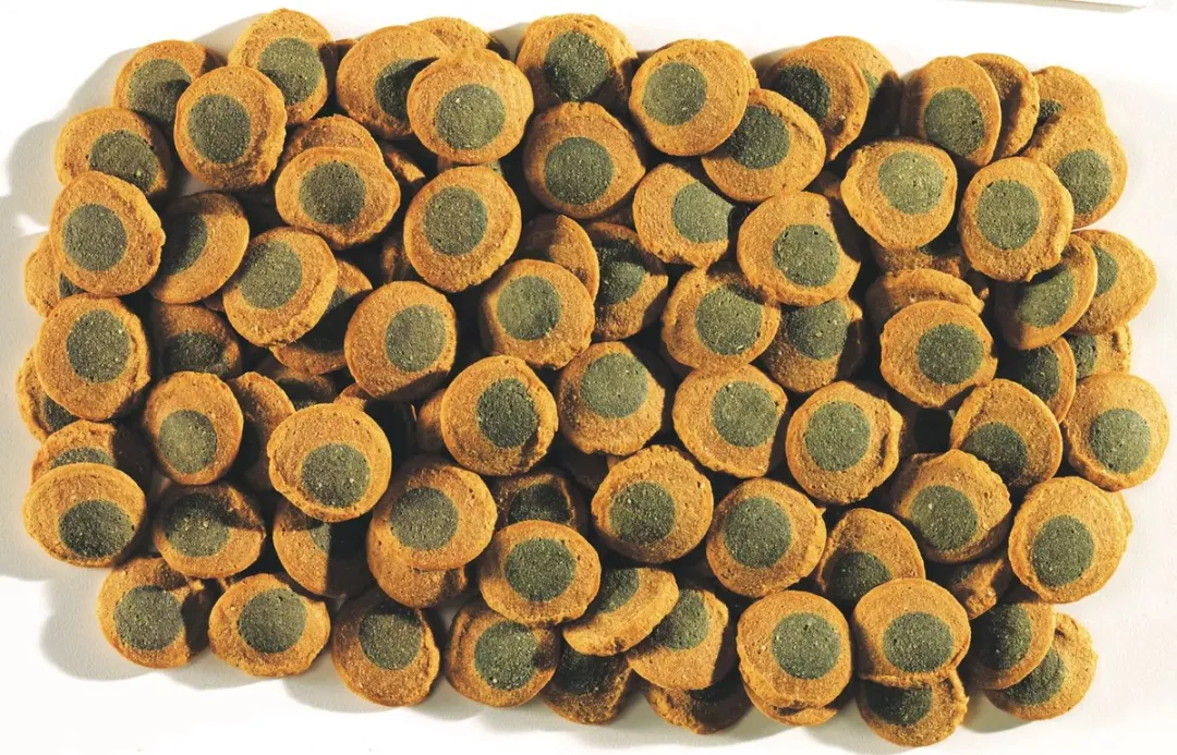 Tetra Pleco Wafers Vissenvoer 250ml