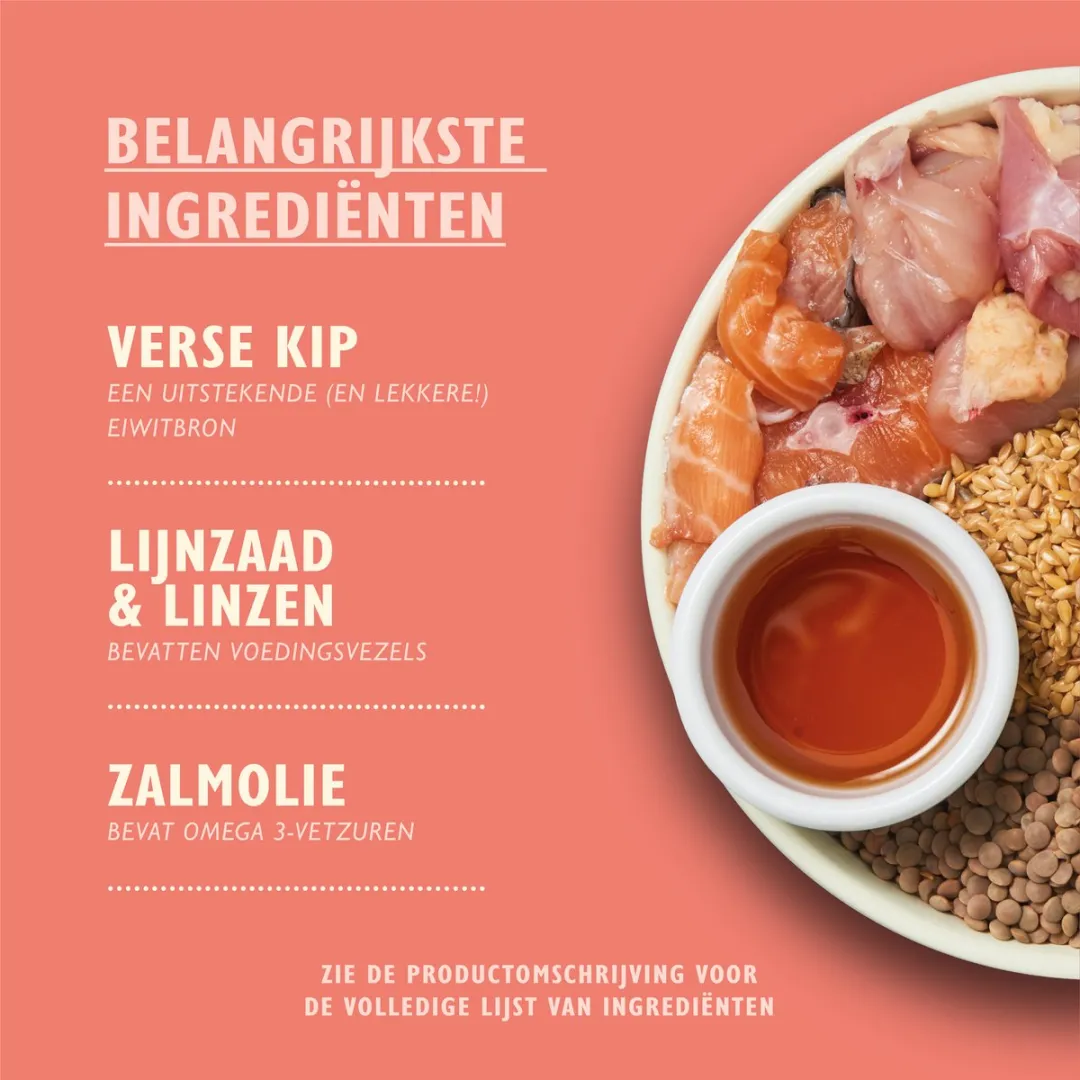 Lily's Kitchen Puppyvoer Kip & Zalm 7kg