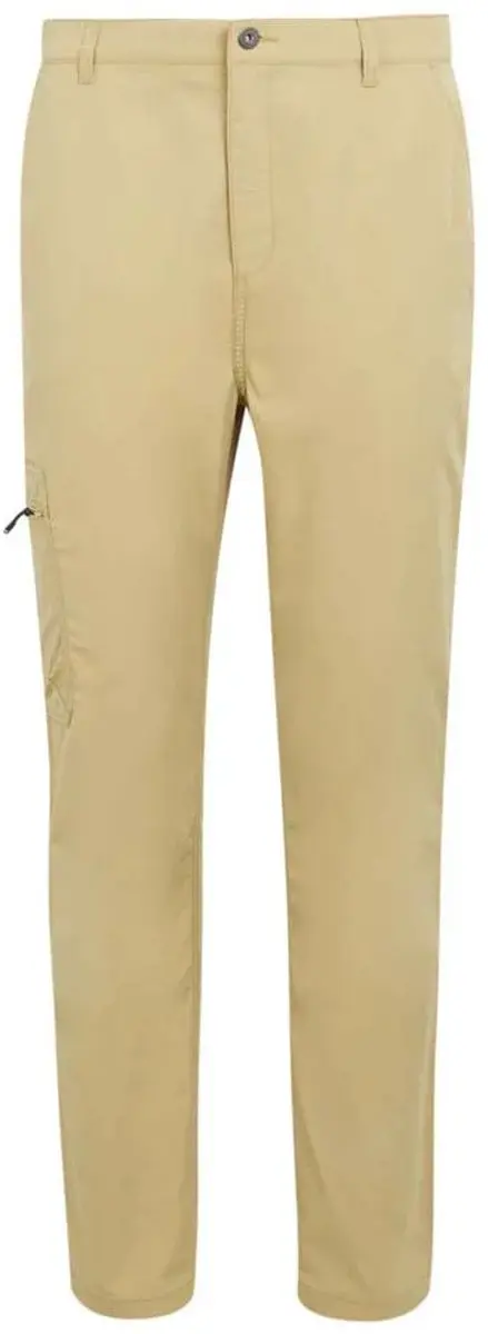 Regatta Dalry Broek Beige 38 / Regular Man - afbeelding 4 van 4