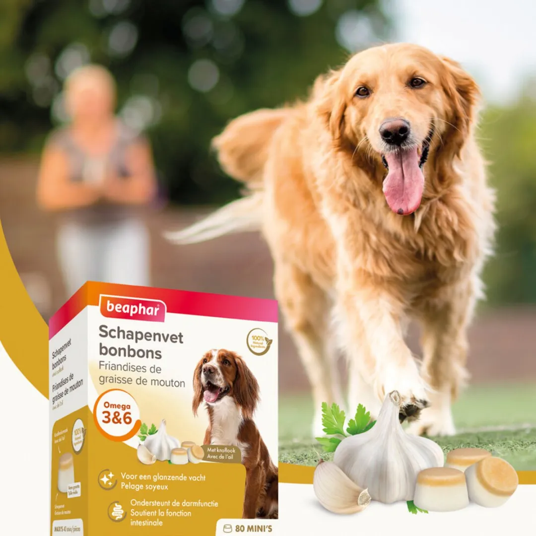 Beaphar Schapenvet Bonbons Knoflook 245g