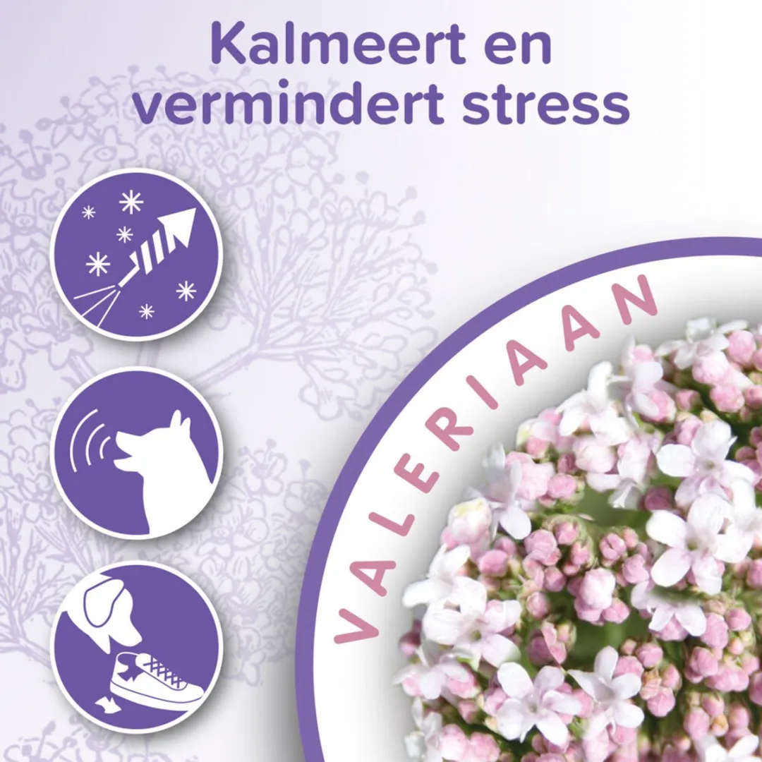 Beaphar No Stress Band Hond - 3 Stuks