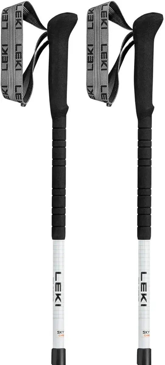 Leki Skytera Carbon Lite Stokken Zilver 100-135 cm