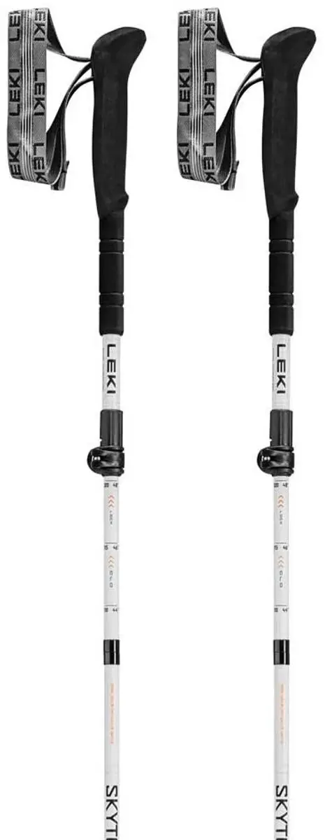 Leki Skytera Fx Carbon Sl Stokken Zilver 110-130 cm