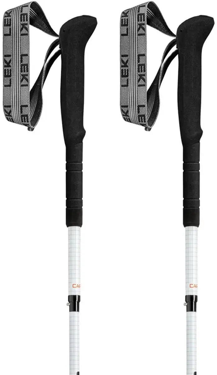 Leki Skytera Fx.one Sl Stokken Grijs 115 cm