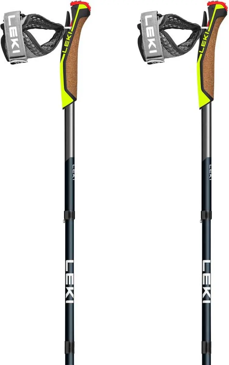 Leki Traveller Fx One Carbon Stokken Zilver 110 cm