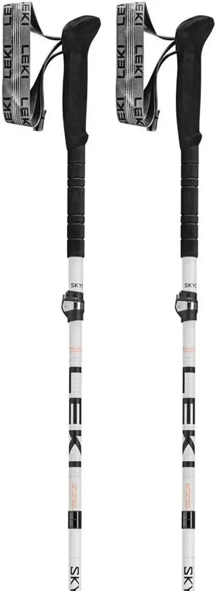 Leki Skysolo Fx.one Carbon Stokken Zilver 130 cm