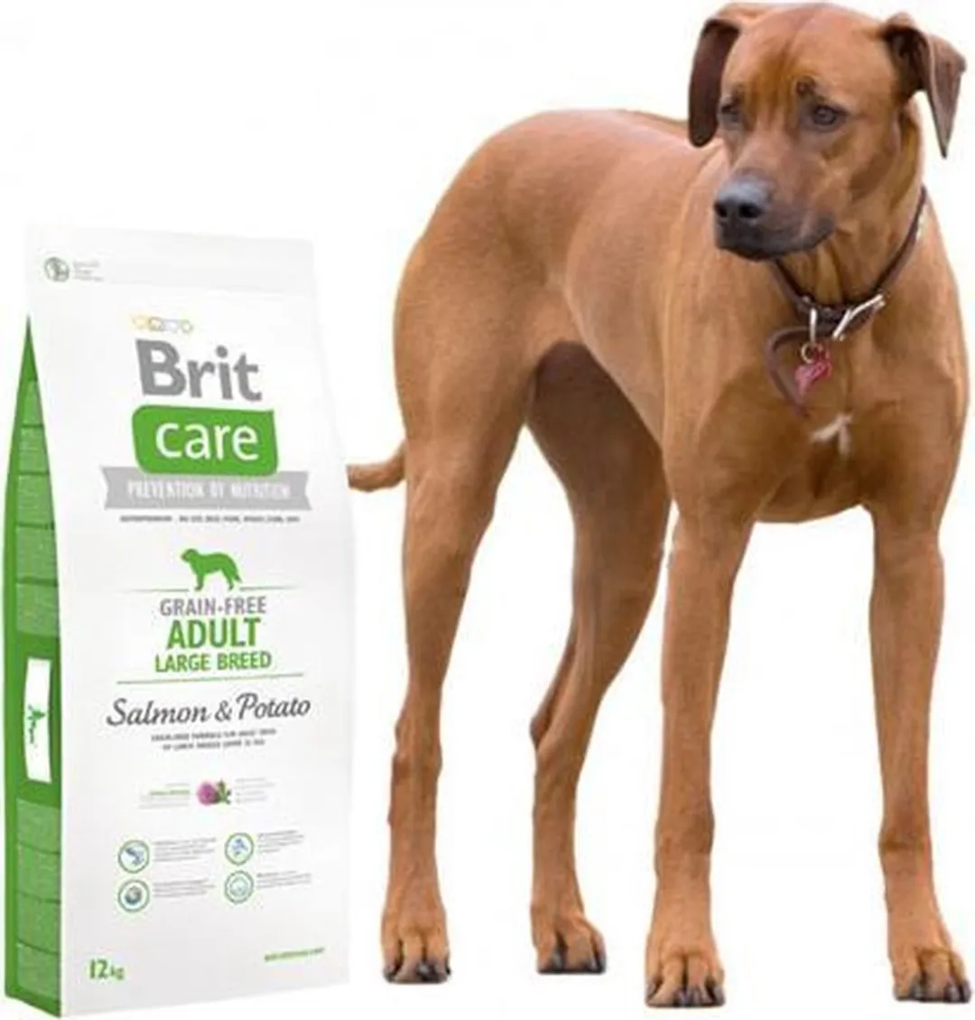 Brit Care Adult Grain Free Large Breed Lams & Aardappel 12kg
