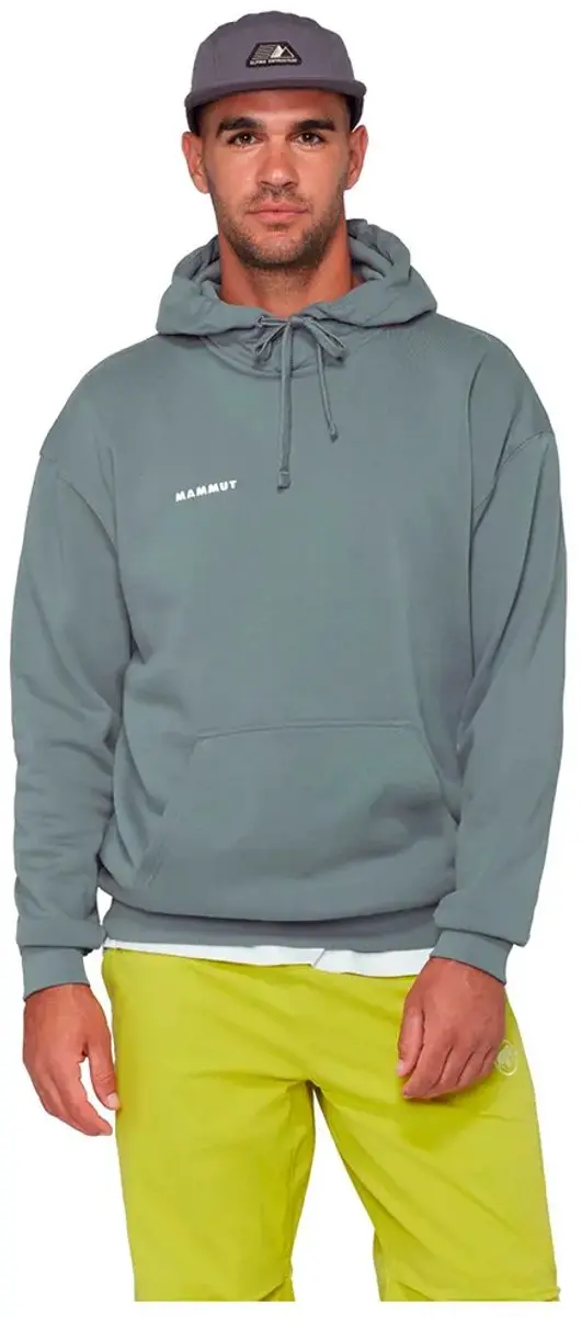 Mammut Base Ml Mini Logo Hoodie Grijs M Man